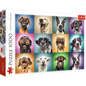 Jigsaw Puzzles - "1000" - Funny dog portraits / 500 px