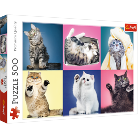 Jigsaw Puzzles - "500" - Kittens