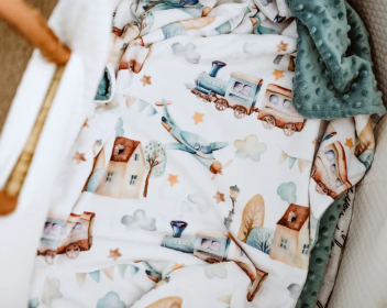 Honey Lemonade - Premium Baby & Toddler Minky Blanket (Color: Airplane & Train, size: 30x40 inches)