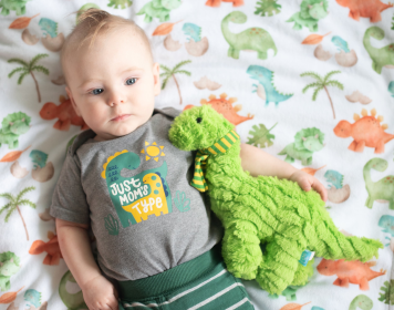 Honey Lemonade - Premium Baby & Toddler Minky Blanket (Color: Dino, size: 30x40 inches)