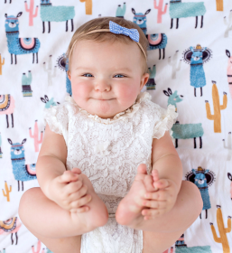 Honey Lemonade - Premium Baby & Toddler Minky Blanket (Color: Llama, size: 30x40 inches)